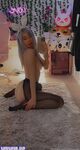 Izzybunnies new hot onlyfans leaked nudes