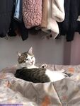 Gatita Latest Onlyfans Premium Leaks